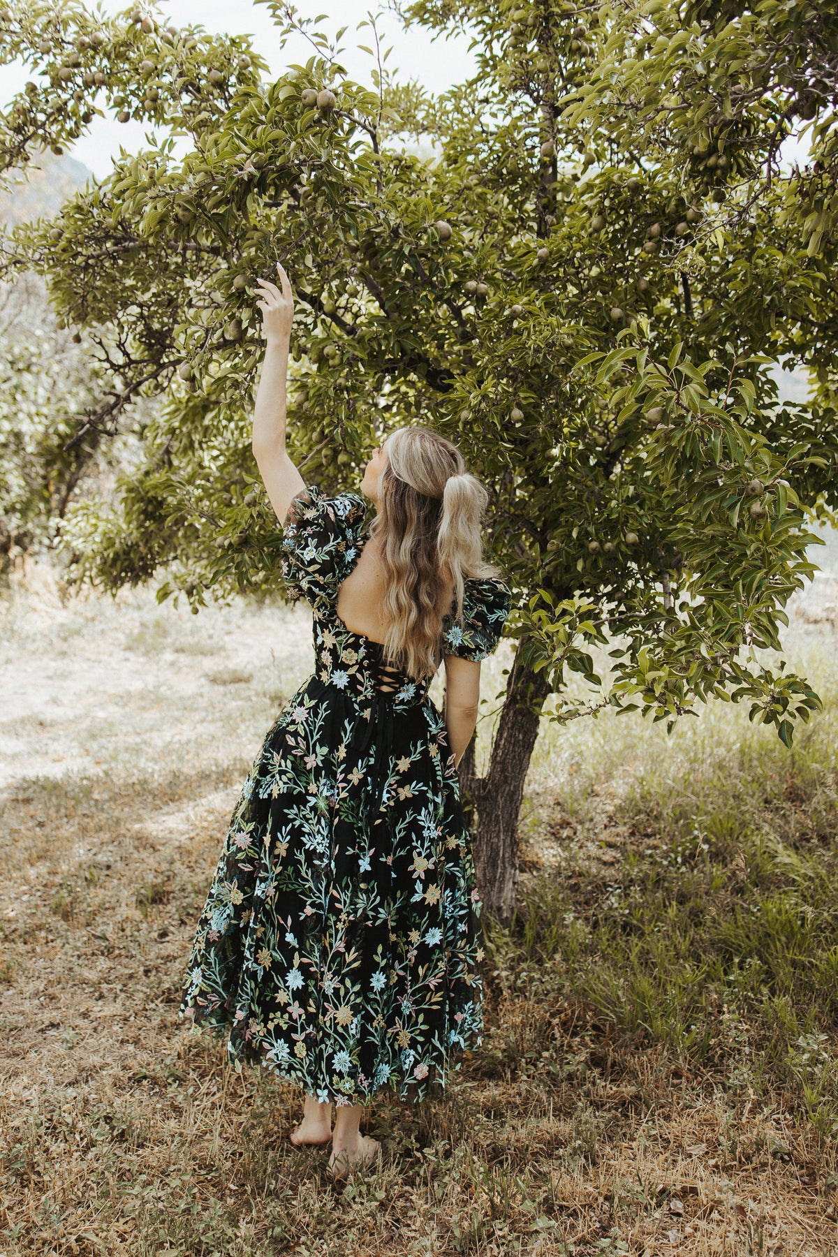 Into the Meadow